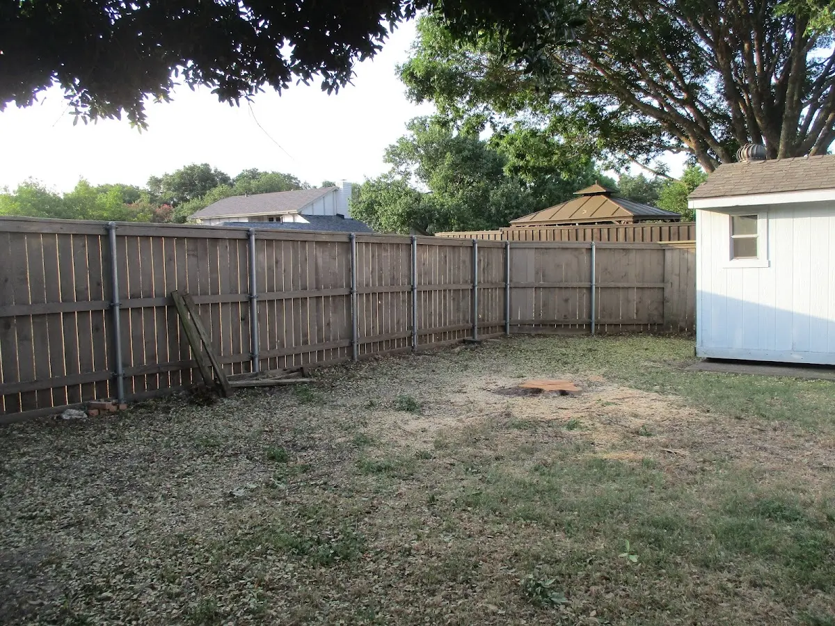 Cleared yard after professional tree removal in Arock
